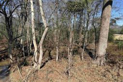 0 Bethany Road photo 4