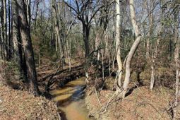 0 Bethany Road photo 4