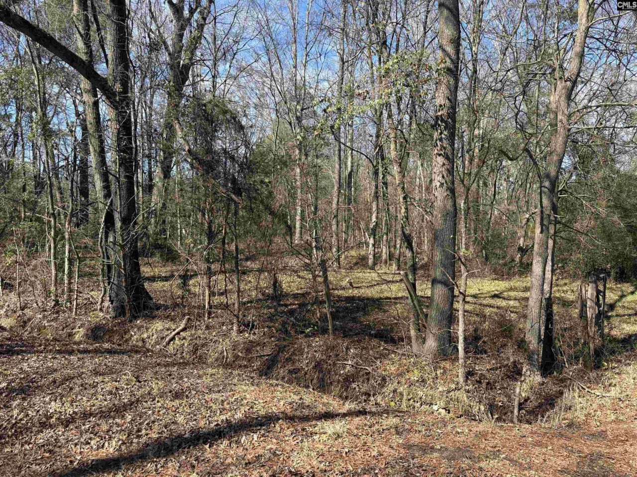 0 Bethany Road Photo 6