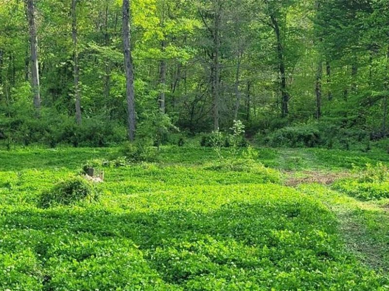 8100 Oh-78, Caldwell, OH 43724 Photo 34