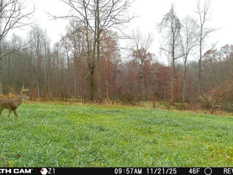 8100 Oh-78, Caldwell, OH 43724 Photo 36