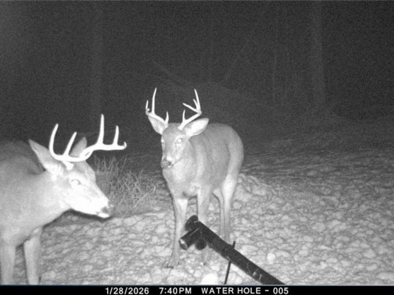 8100 Oh-78, Caldwell, OH 43724 Photo 38