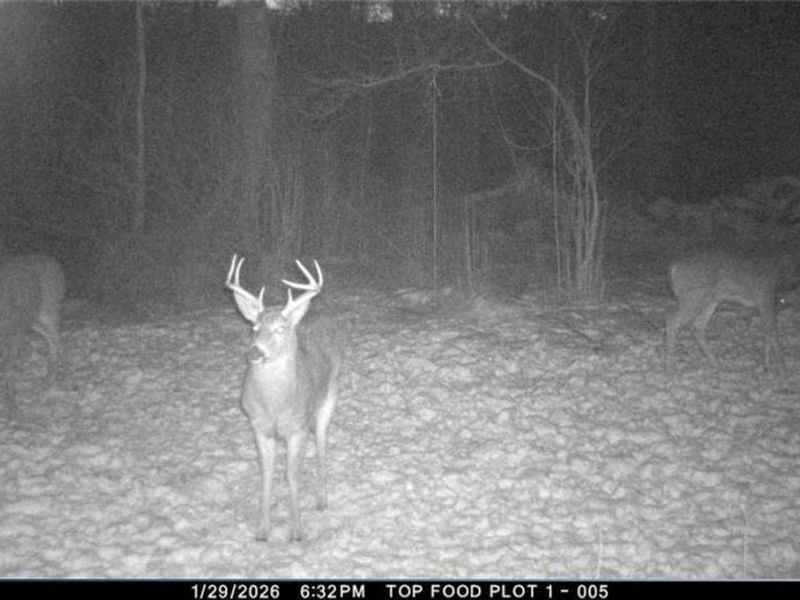 8100 Oh-78, Caldwell, OH 43724 Photo 39