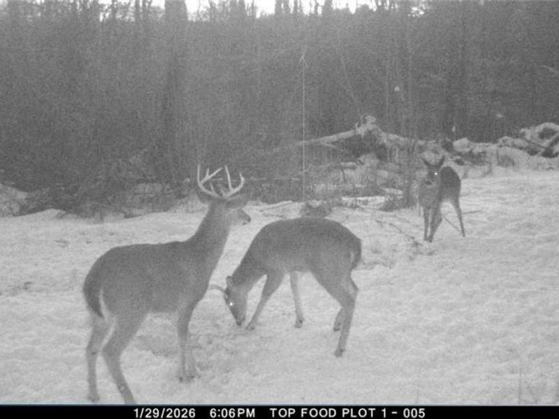 8100 Oh-78, Caldwell, OH 43724 Photo 40