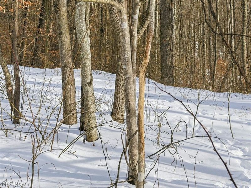 8100 Oh-78, Caldwell, OH 43724 Photo 41