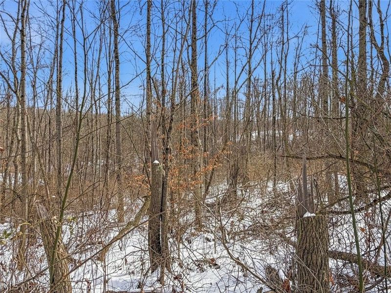 8100 Oh-78, Caldwell, OH 43724 Photo 42