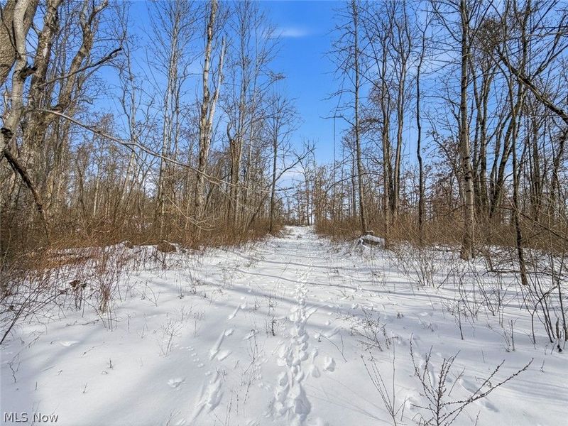 8100 Oh-78, Caldwell, OH 43724 Photo 43