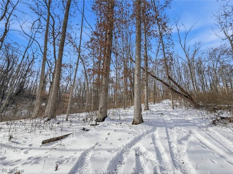 8100 Oh-78, Caldwell, OH 43724 Photo 46