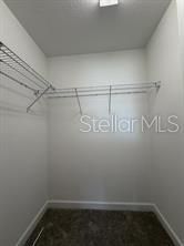 25118 Lambrusco Loop, Lutz, FL 33559 Photo