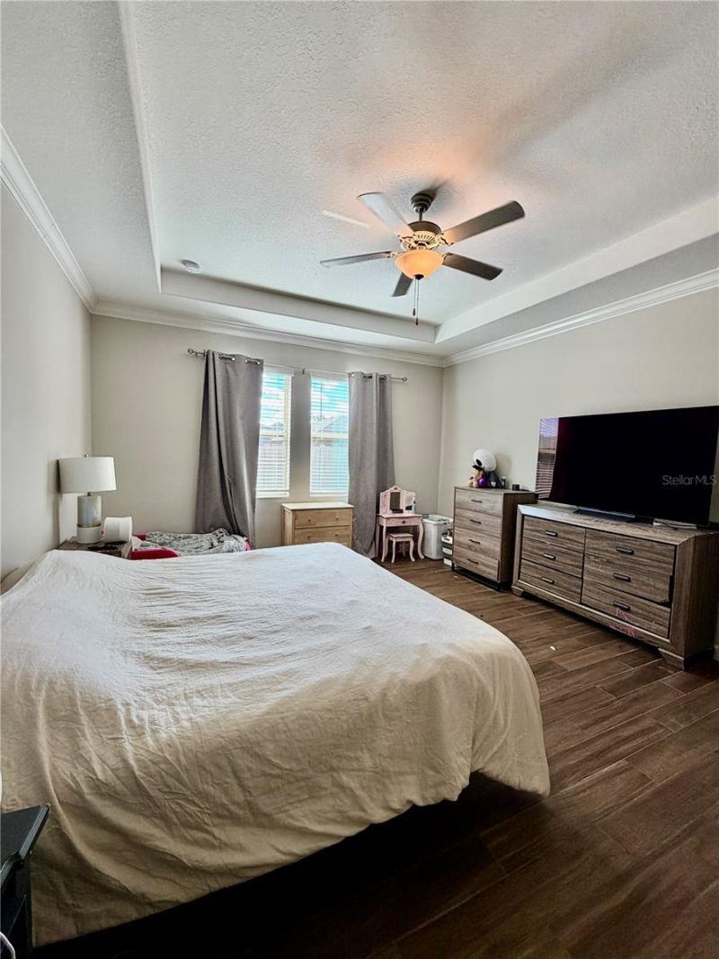 25118 Lambrusco Loop, Lutz, FL 33559 Photo