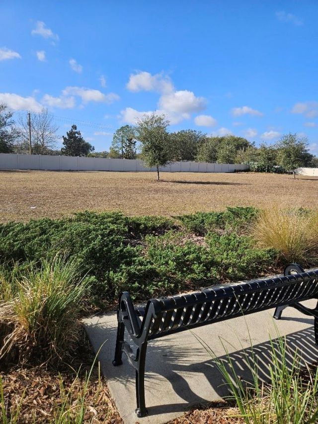 25118 Lambrusco Loop, Lutz, FL 33559 Photo