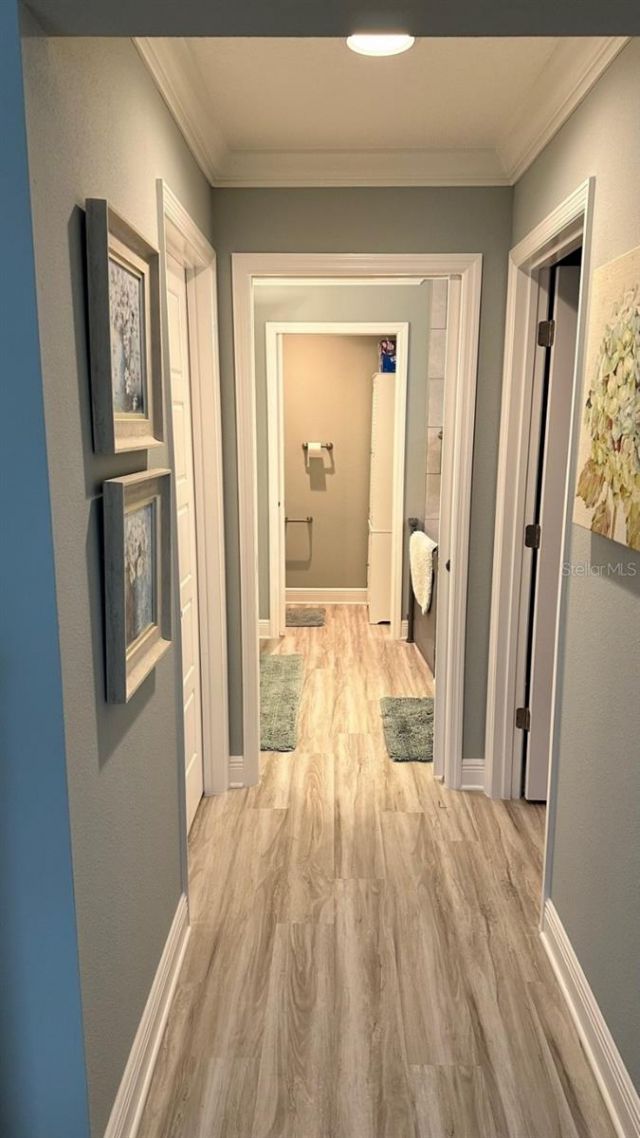 7917 Byers Street, Middleton, FL 34762 Photo