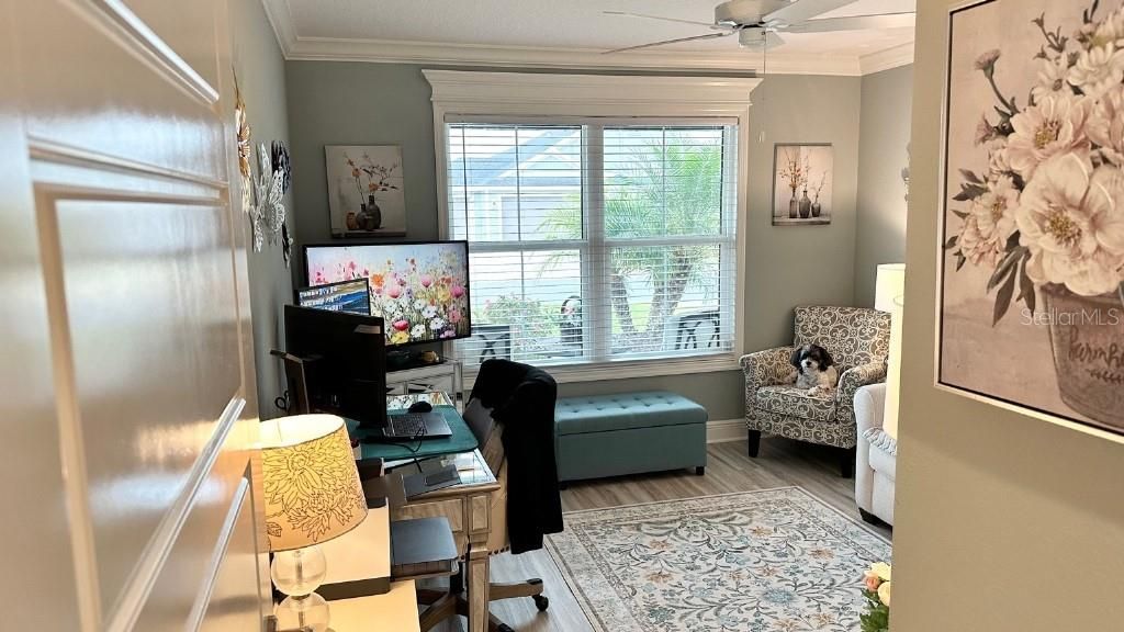 7917 Byers Street, Middleton, FL 34762 Photo