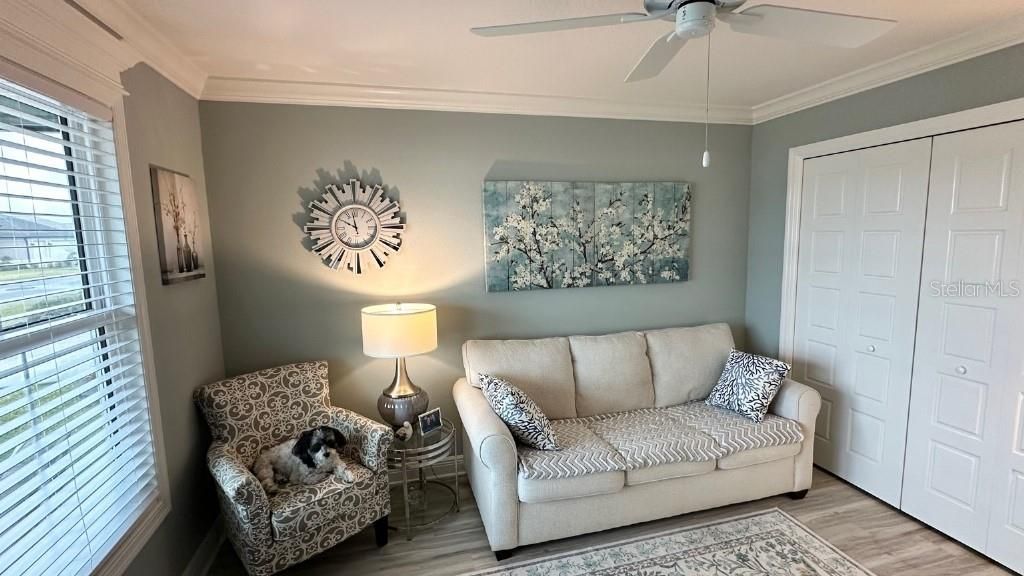 7917 Byers Street, Middleton, FL 34762 Photo