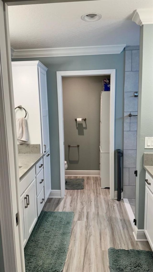 7917 Byers Street, Middleton, FL 34762 Photo