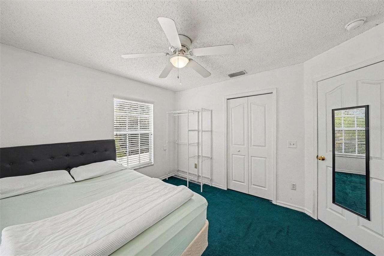 10109 Belleville Place, Tampa, FL 33624 Photo