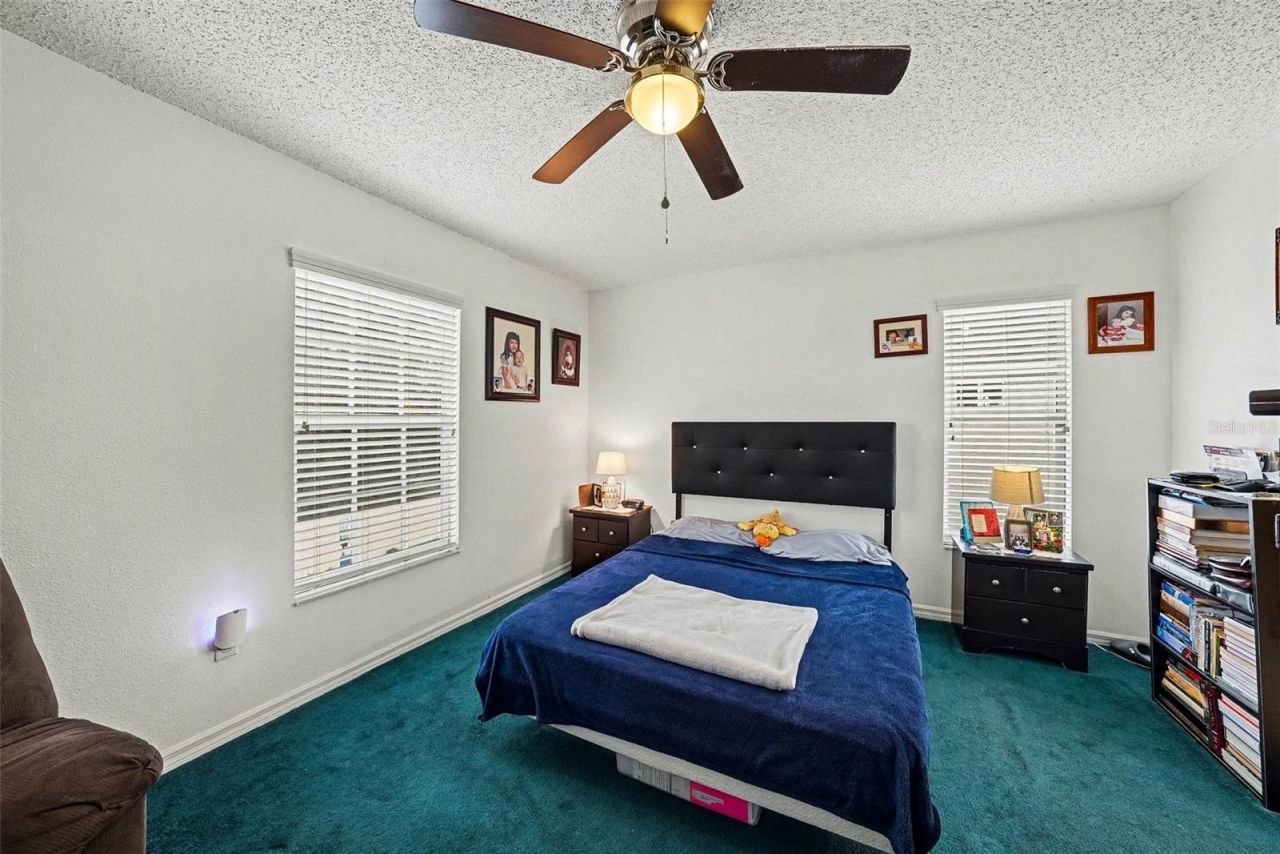 10109 Belleville Place, Tampa, FL 33624 Photo