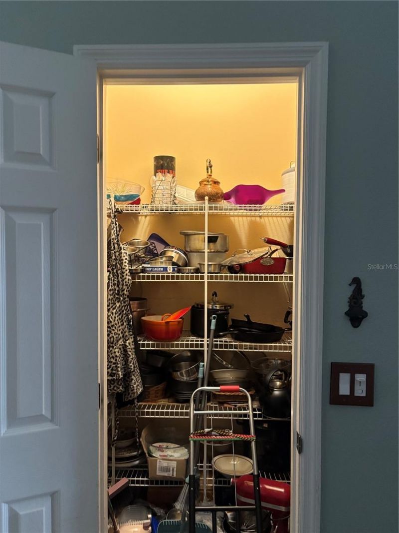 3689 SE 29th Boulevard, Sumterville, FL 33585 Photo