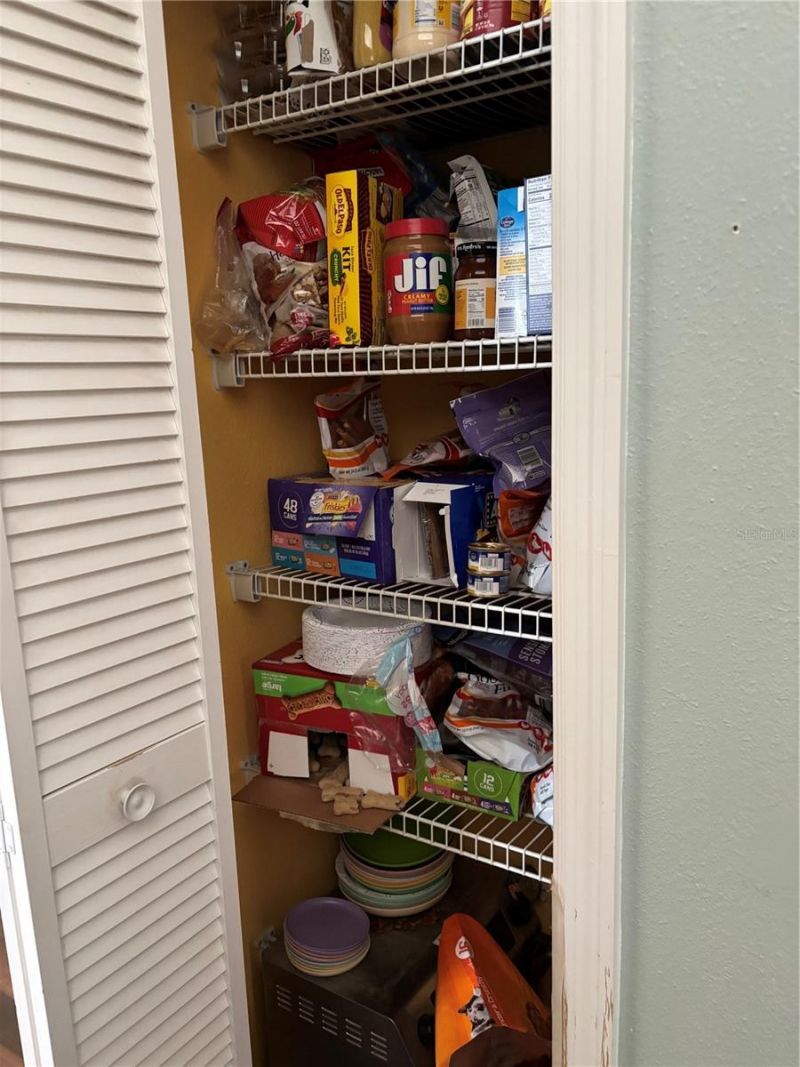 3689 SE 29th Boulevard, Sumterville, FL 33585 Photo