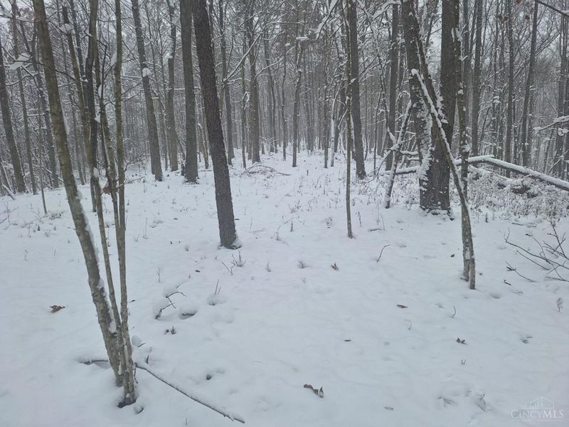 234 Dry Bone Drive, Mifflin Twp, OH 45660 Photo 4