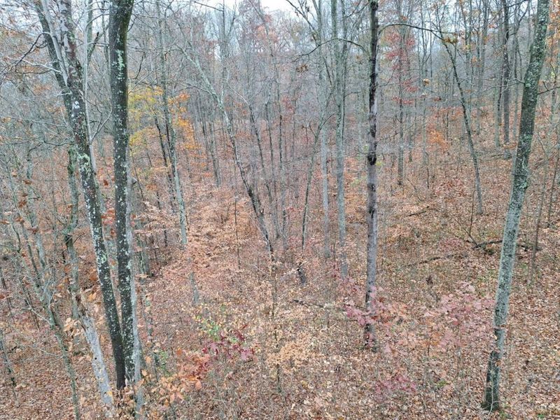 234 Dry Bone Drive, Mifflin Twp, OH 45660 Photo 6