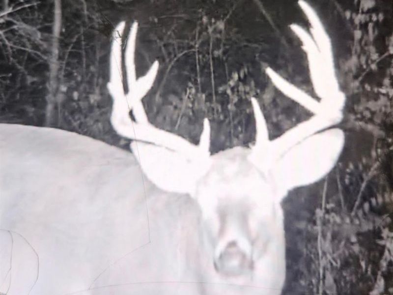 234 Dry Bone Drive, Mifflin Twp, OH 45660 Photo 7