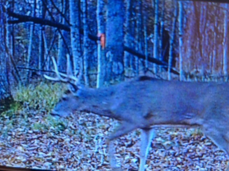 234 Dry Bone Drive, Mifflin Twp, OH 45660 Photo 8