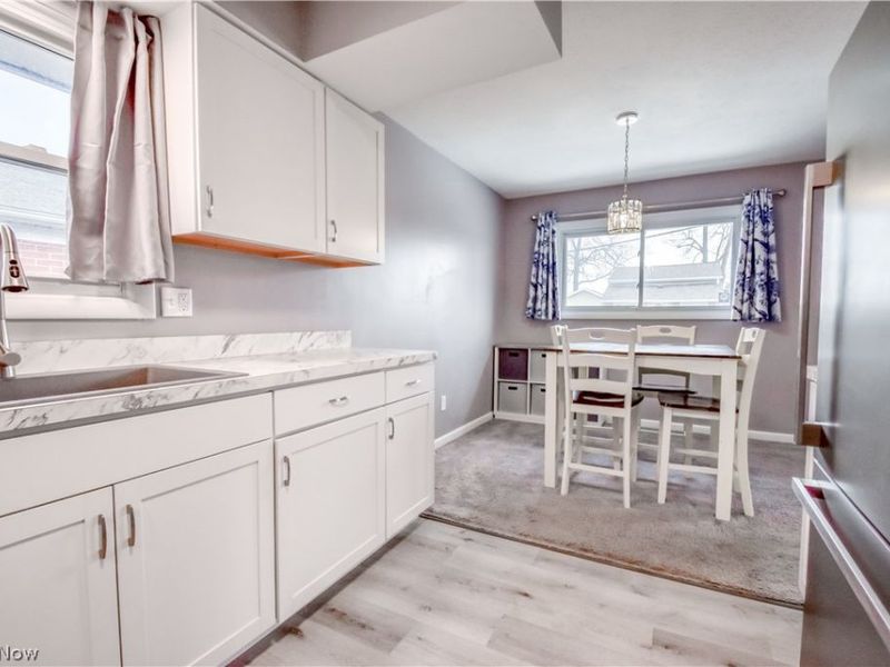 346 Parkway Drive, Eastlake, OH 44095 Photo 4