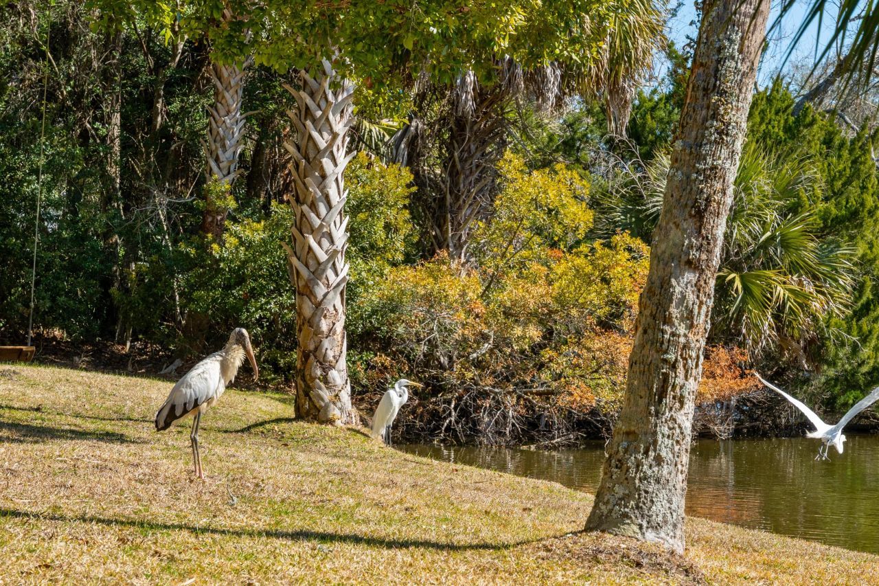 6 Sandwedge Lane Photo 38