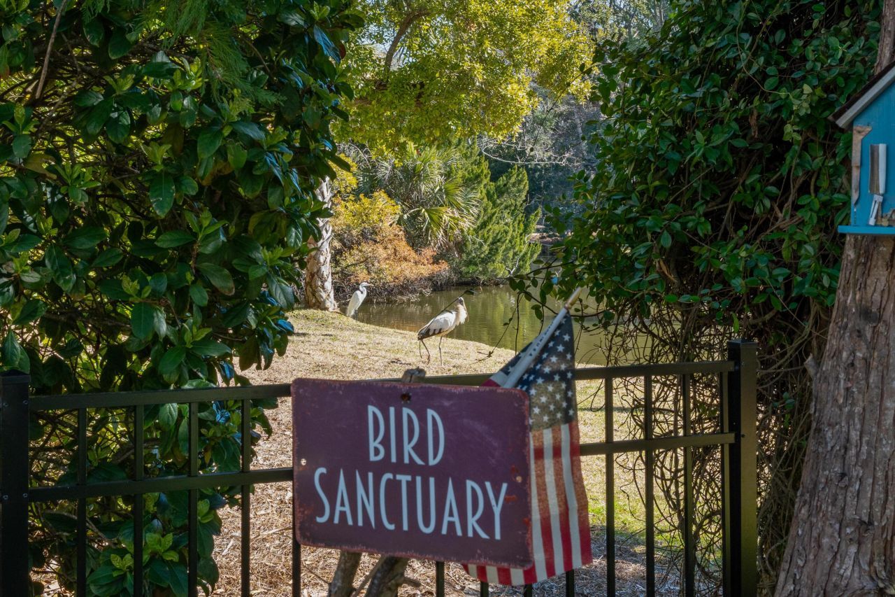 6 Sandwedge Lane Photo 39