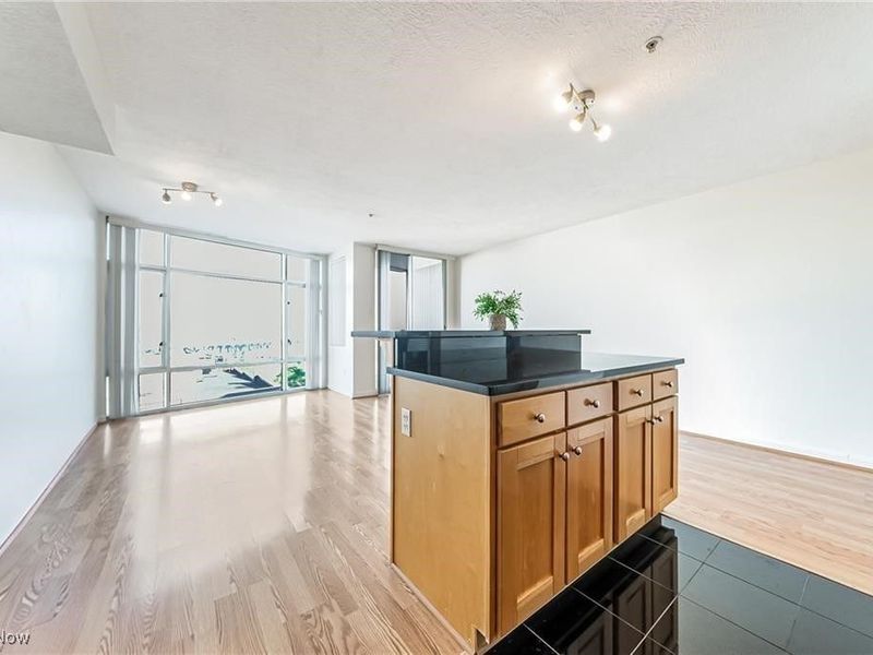 2222 Detroit Avenue, Unit 917, Cleveland, OH 44113 Photo 11