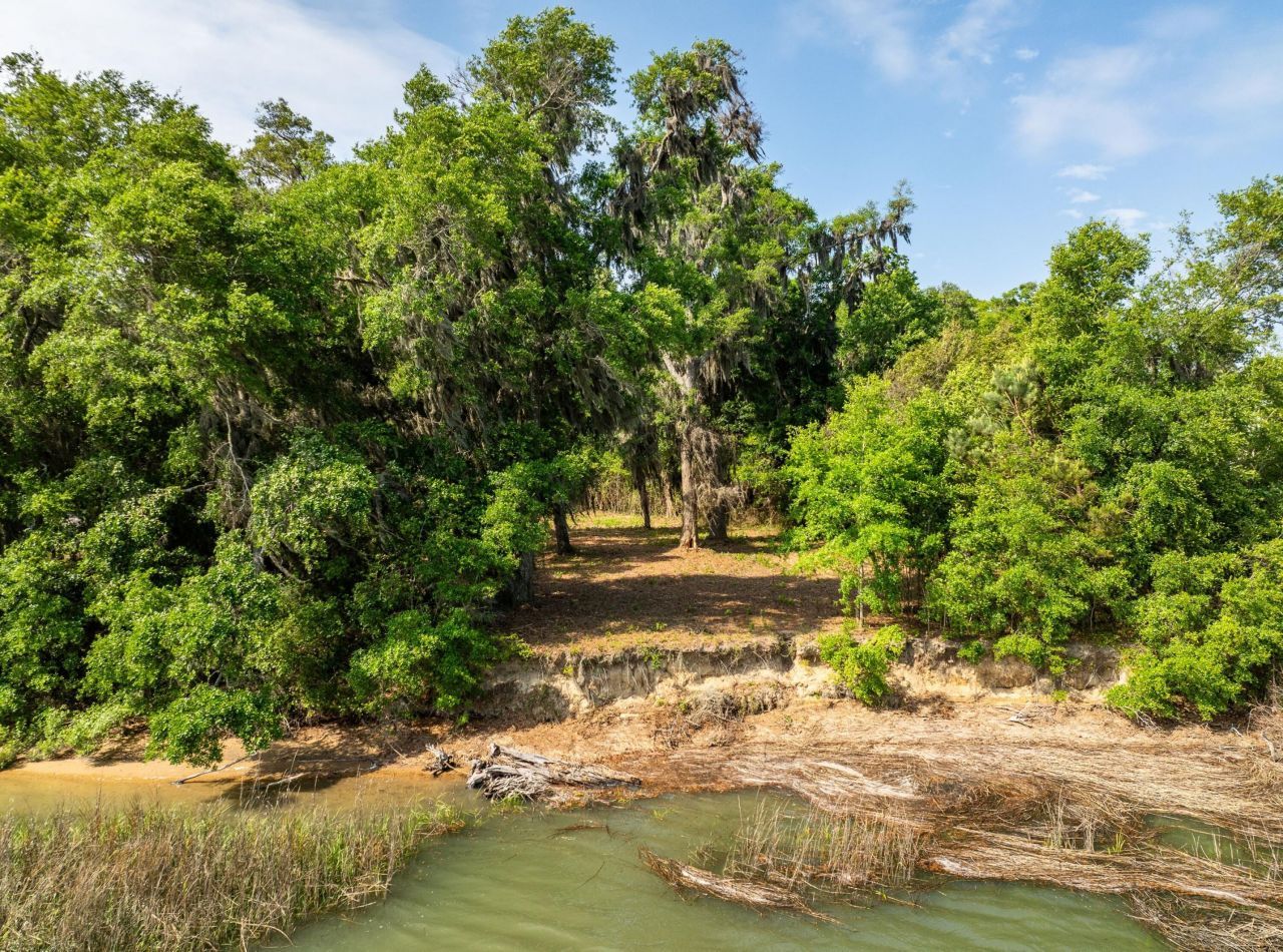 16 Comfort Point Photo 21