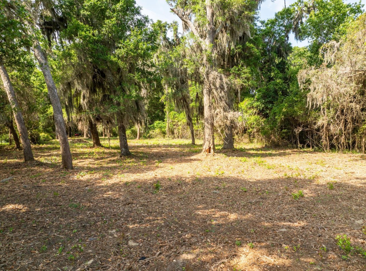 16 Comfort Point Photo 22