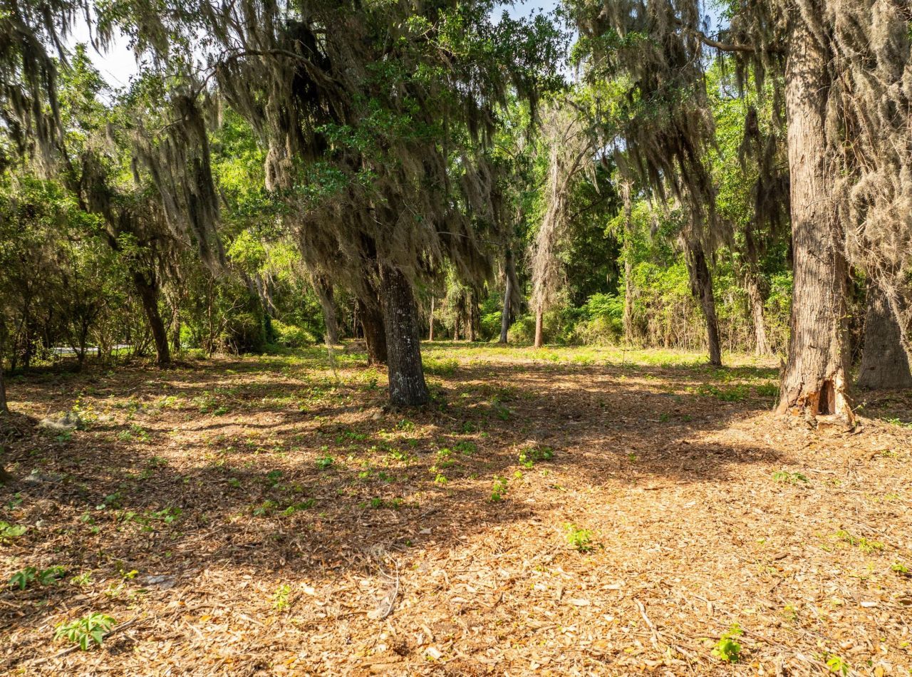 16 Comfort Point Photo 23