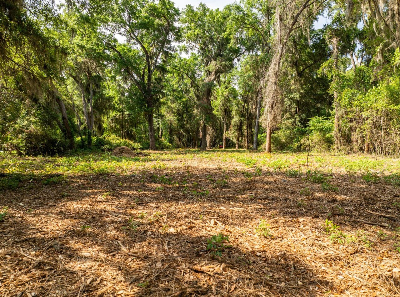 16 Comfort Point Photo 24