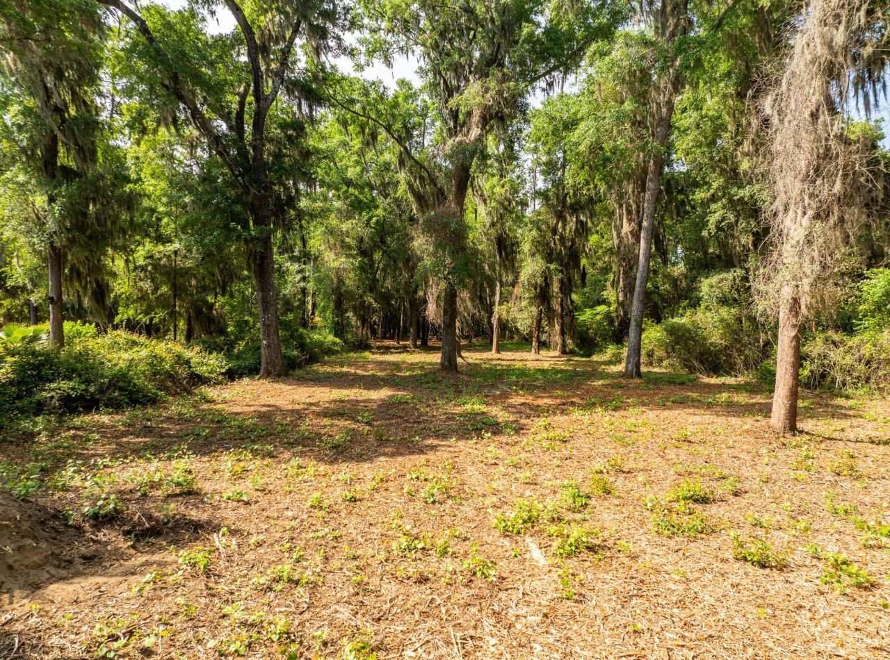 16 Comfort Point Photo 25