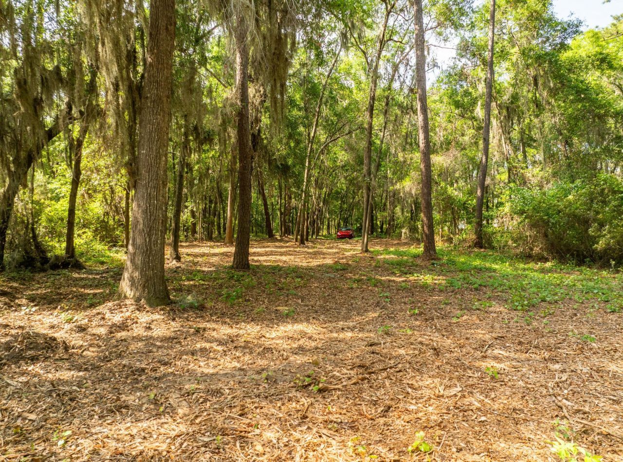 16 Comfort Point Photo 26