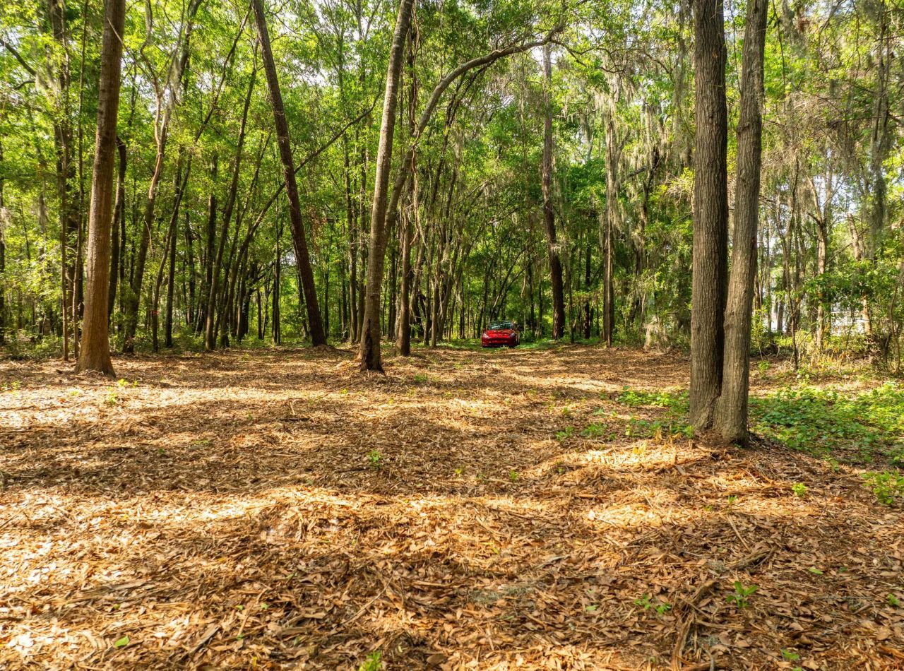 16 Comfort Point Photo 27