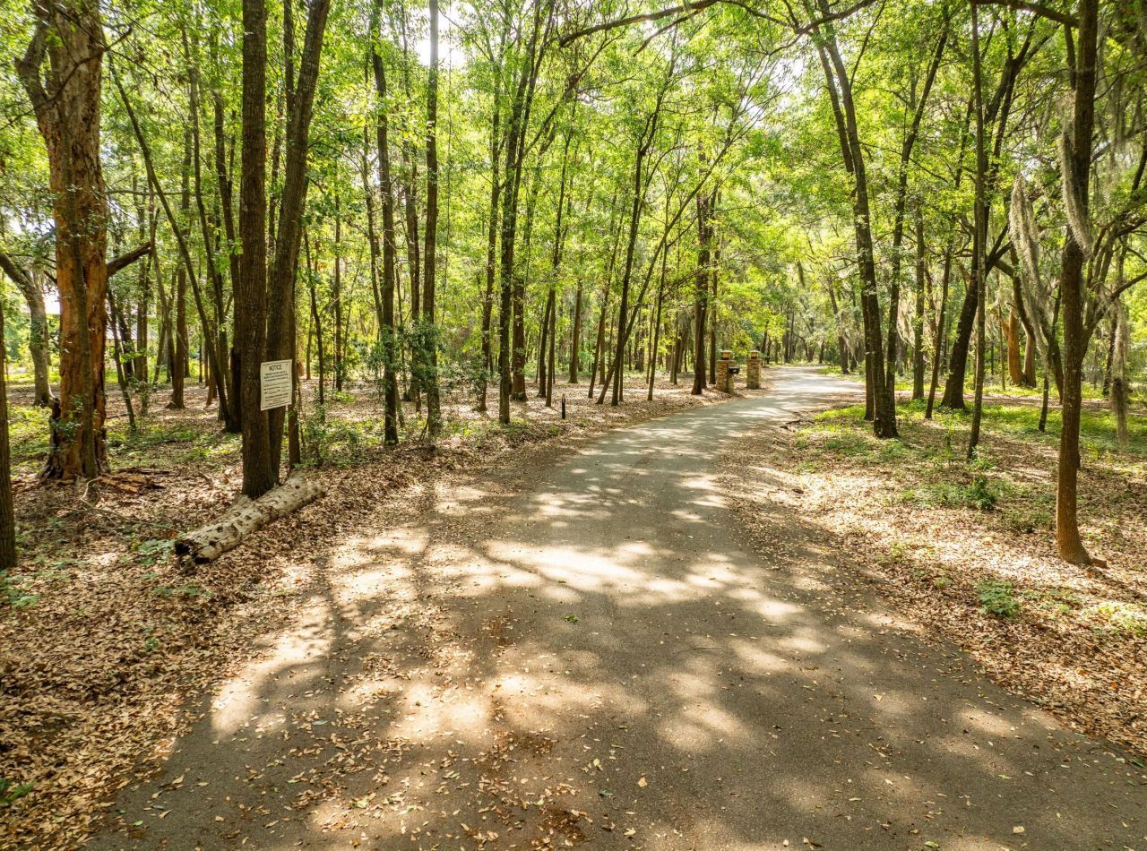 16 Comfort Point Photo 28