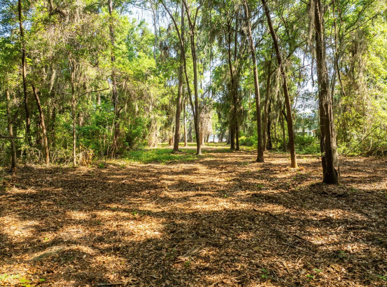 16 Comfort Point Photo 3