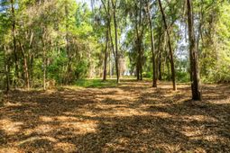 16 Comfort Point photo 4