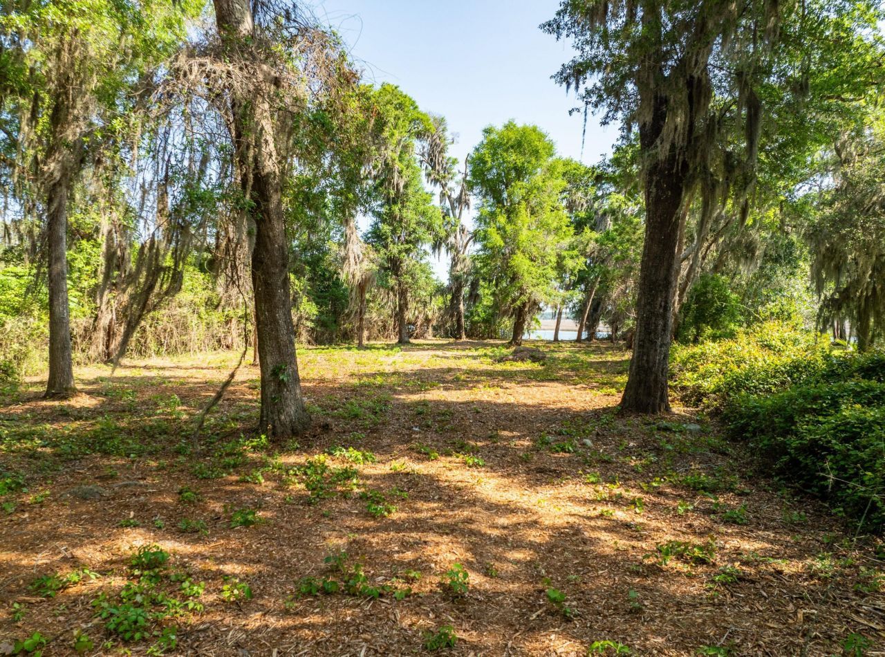 16 Comfort Point Photo 4