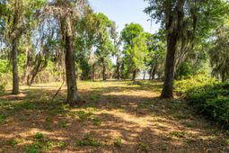 16 Comfort Point photo 4