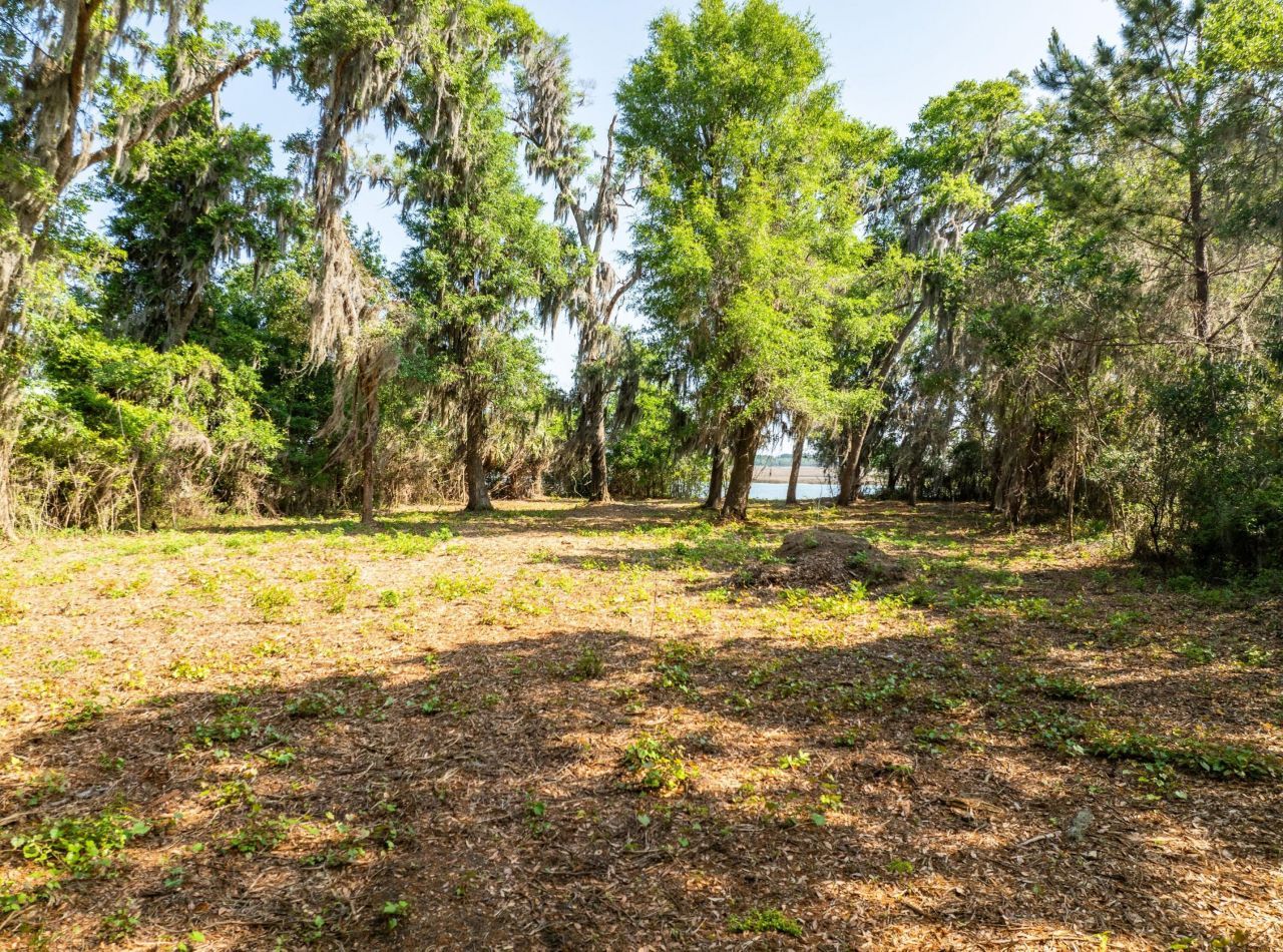 16 Comfort Point Photo 5