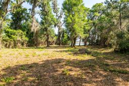 16 Comfort Point photo 4