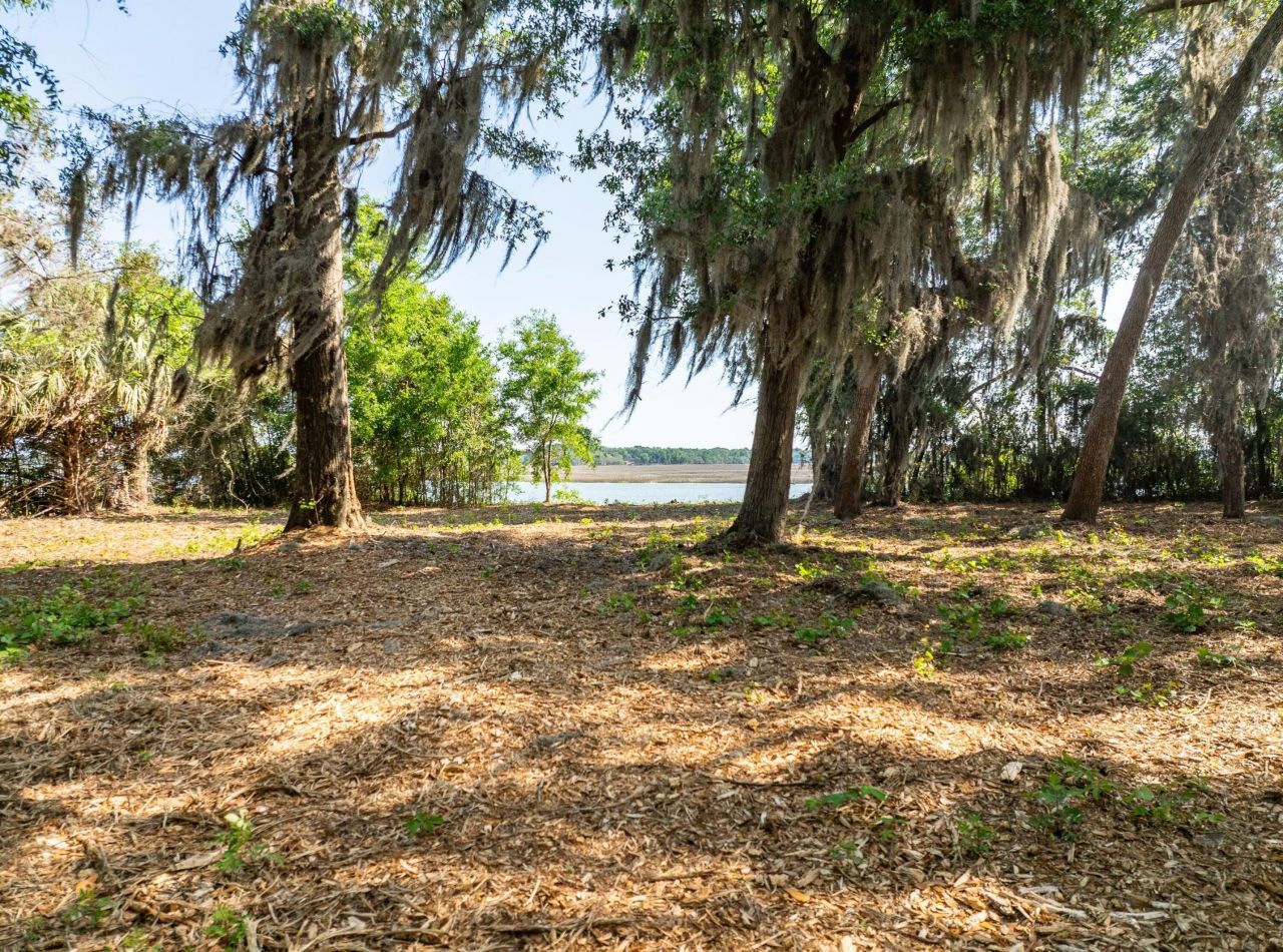 16 Comfort Point Photo 6