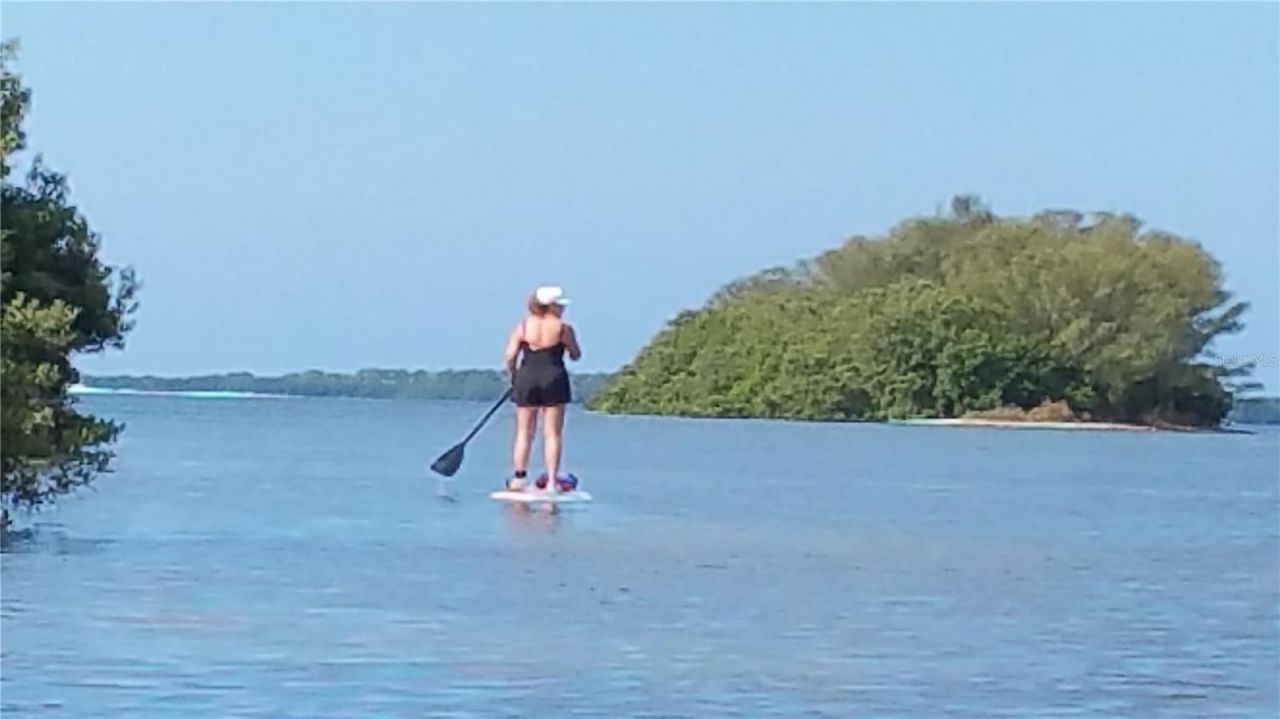 633 Soundview Drive, Palm Harbor, FL 34683 Photo