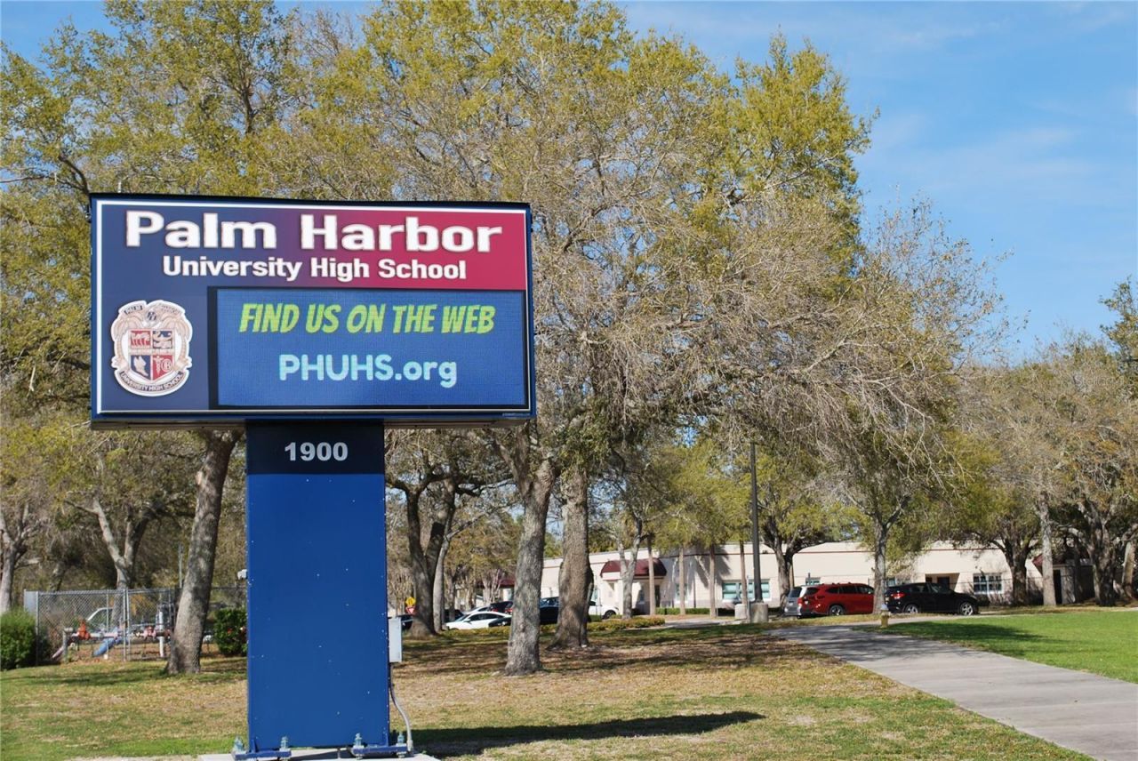 633 Soundview Drive, Palm Harbor, FL 34683 Photo