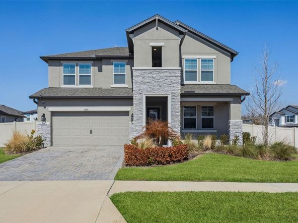 33287 SYCAMORE LEAF DRIVE, WESLEY CHAPEL, FL 33545