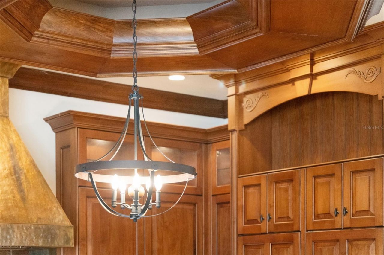 16332 Pendio Drive, Bella Collina, FL 34756 Photo